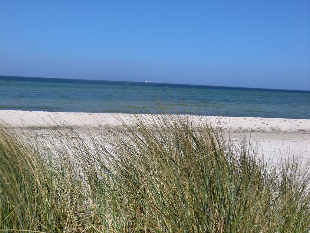 Boeltser Hus Ferienwohnungen Mit Strandkorb Und Kamin 10 Gehminuten Zum Kurtaxefreien Sandstrand Kraksdorf Ngoại thất bức ảnh
