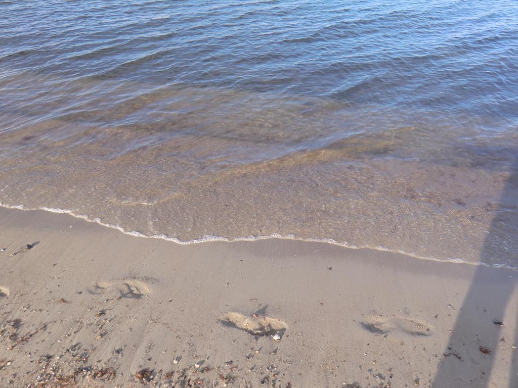 Boeltser Hus Ferienwohnungen Mit Strandkorb Und Kamin 10 Gehminuten Zum Kurtaxefreien Sandstrand Kraksdorf Ngoại thất bức ảnh